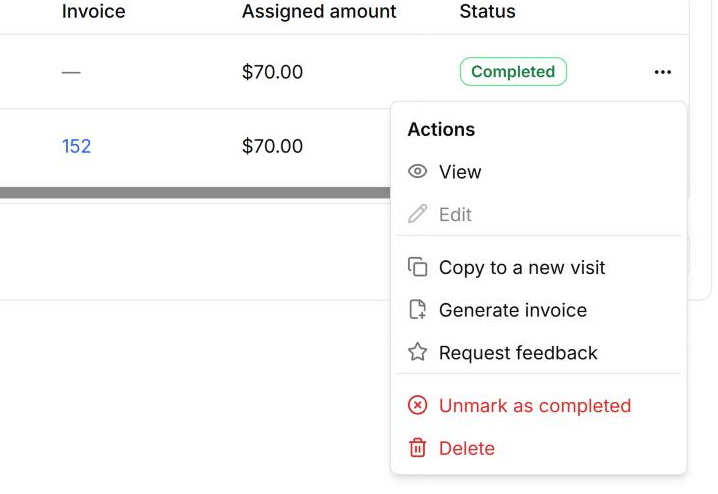 Generate invoice in the visit's ⋯ menu